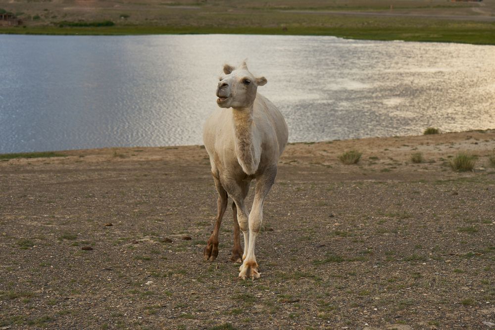 Photograph by Ирина Секачева