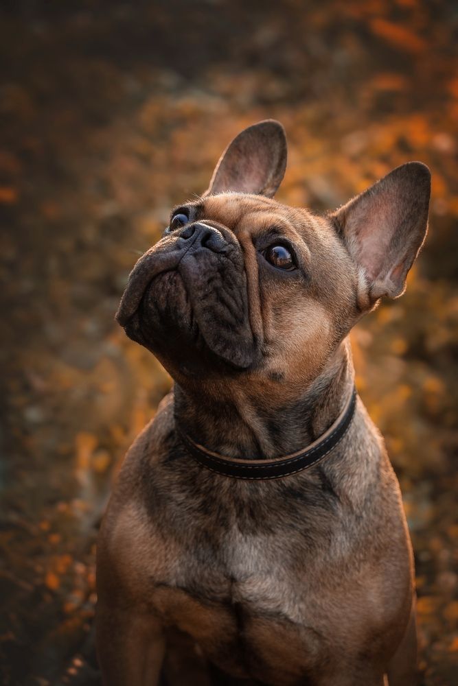 Photograph by Lana Kamal