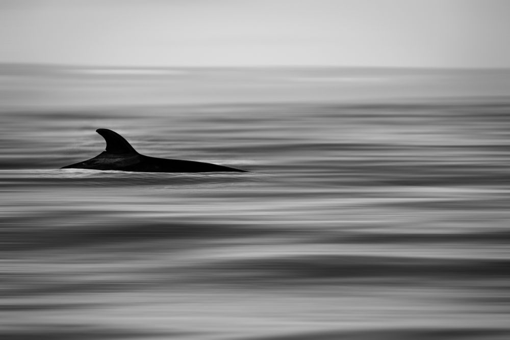 Photograph by Cristian Dinivitzer