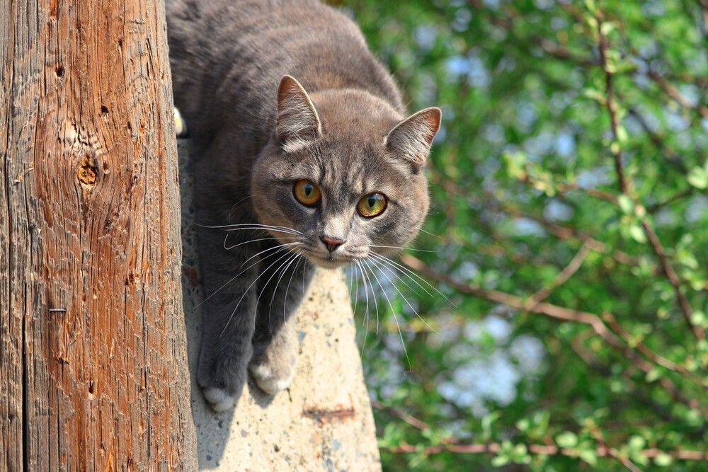 Photograph by Галина Мазур