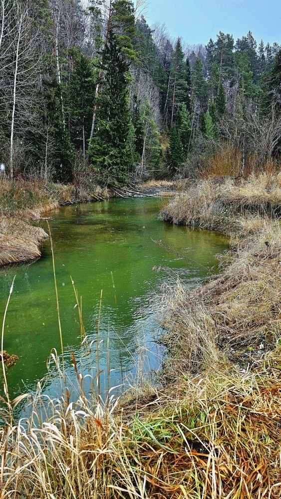 Photograph by Никита Караваев