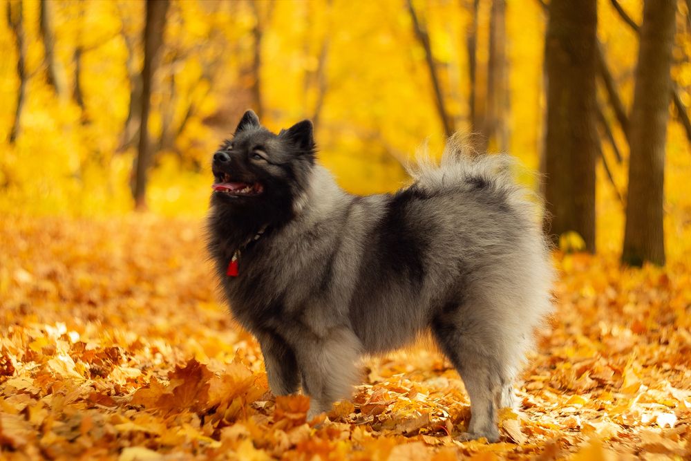 Photograph by Наталья Максимова