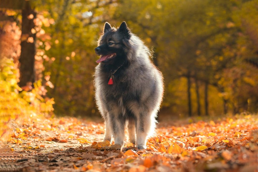 Photograph by Наталья Максимова