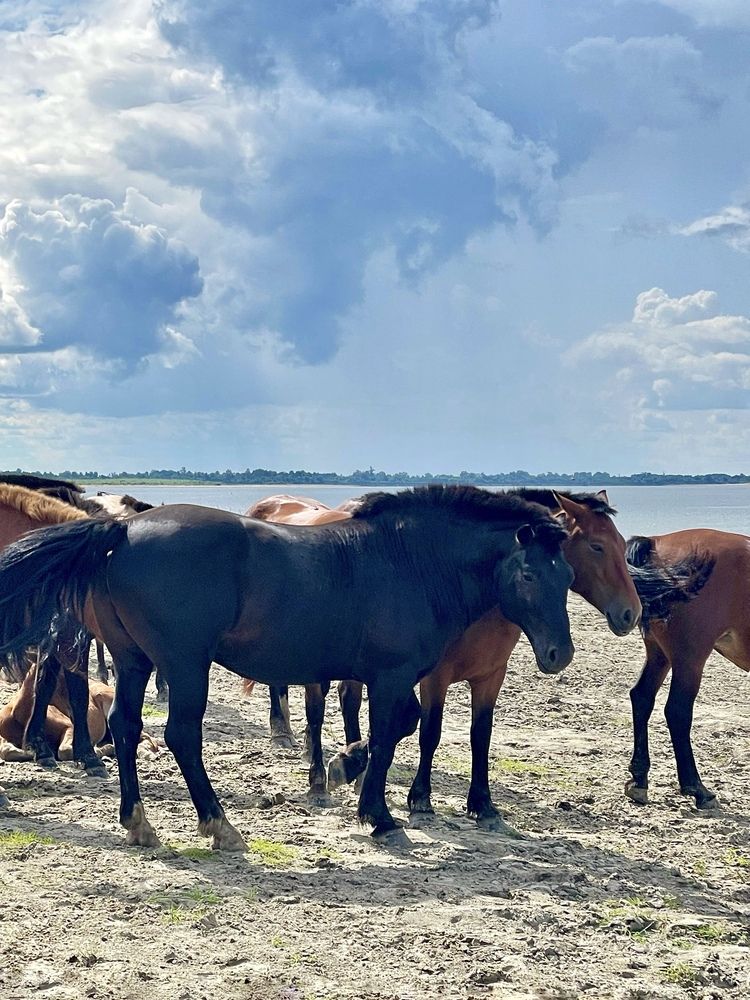 Фотография автора Nadezhda