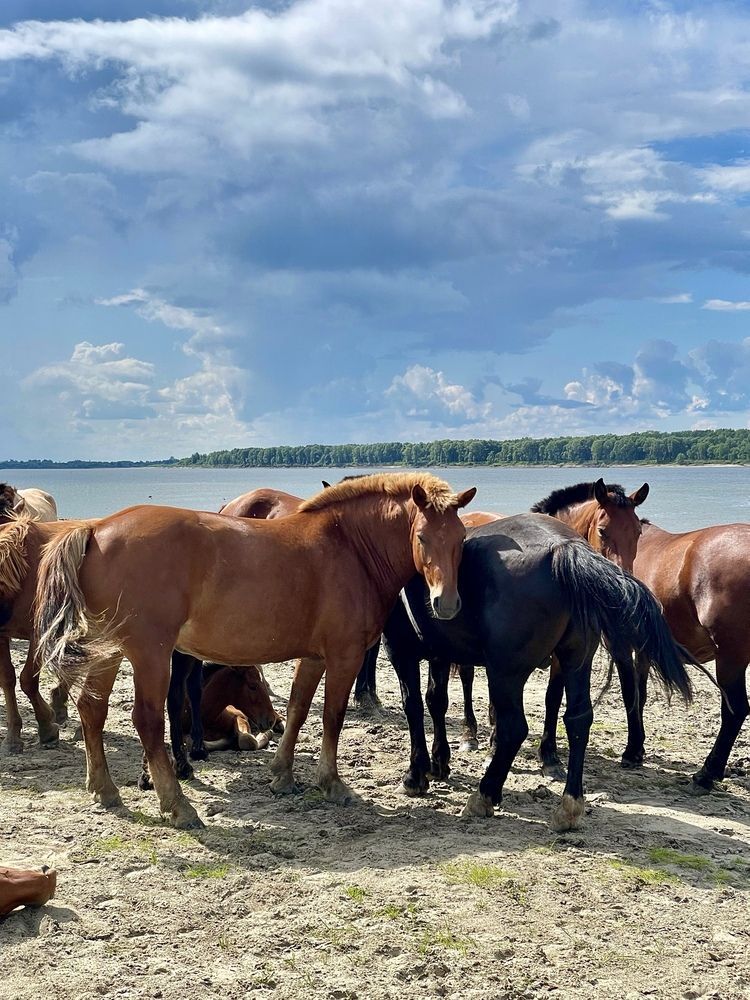 Фотография автора Nadezhda