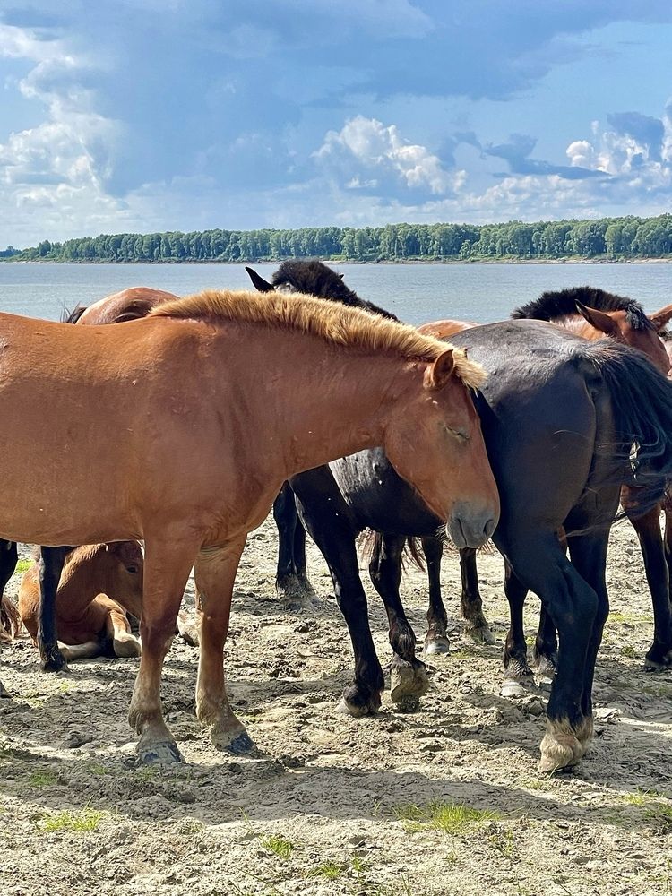 Фотография автора Nadezhda