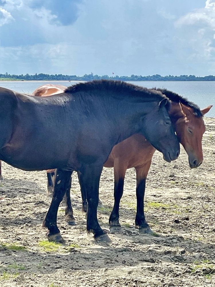 Фотография автора Nadezhda