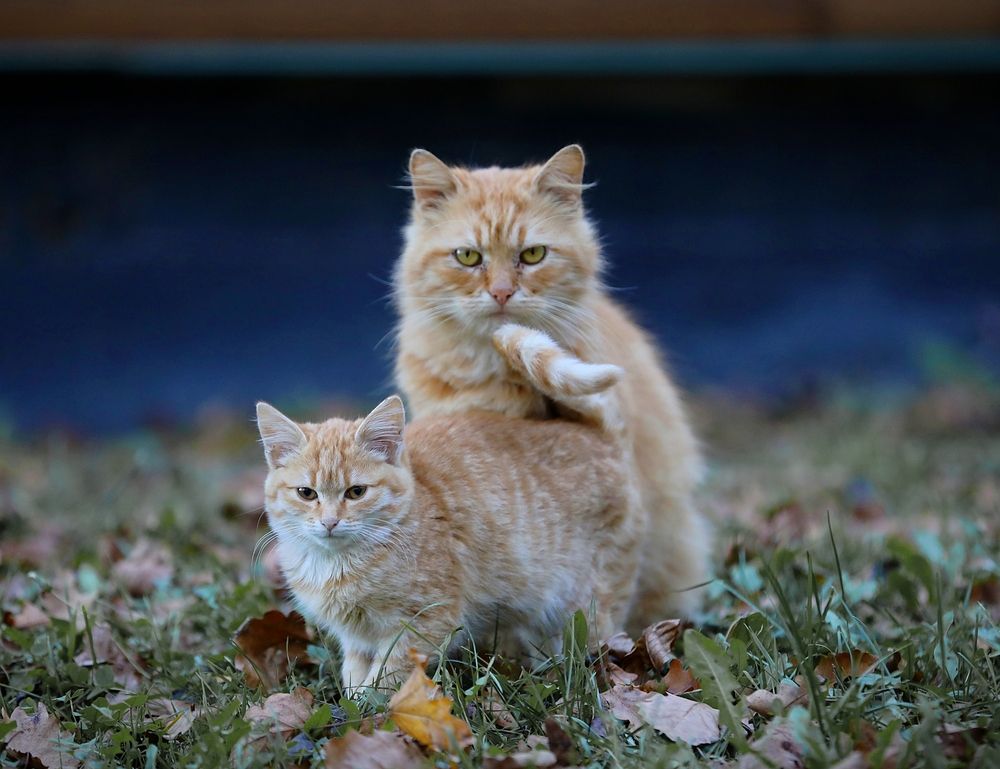 Photograph by Татьяна Полоцкая