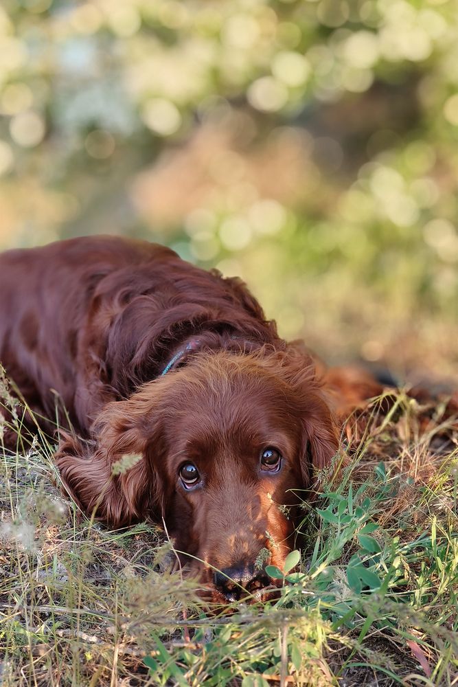 Photograph by Коржова Наталья