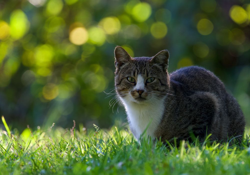 Фотография автора Viktoriya Kim