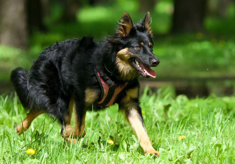 Фотография автора Viktoriya Kim