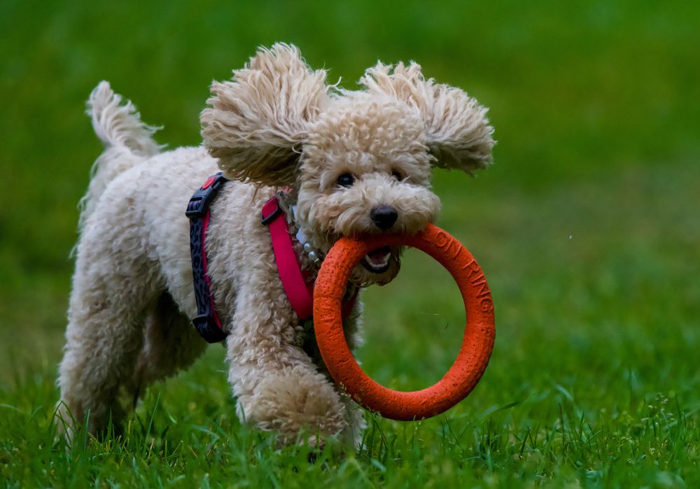 Фотография автора Viktoriya Kim