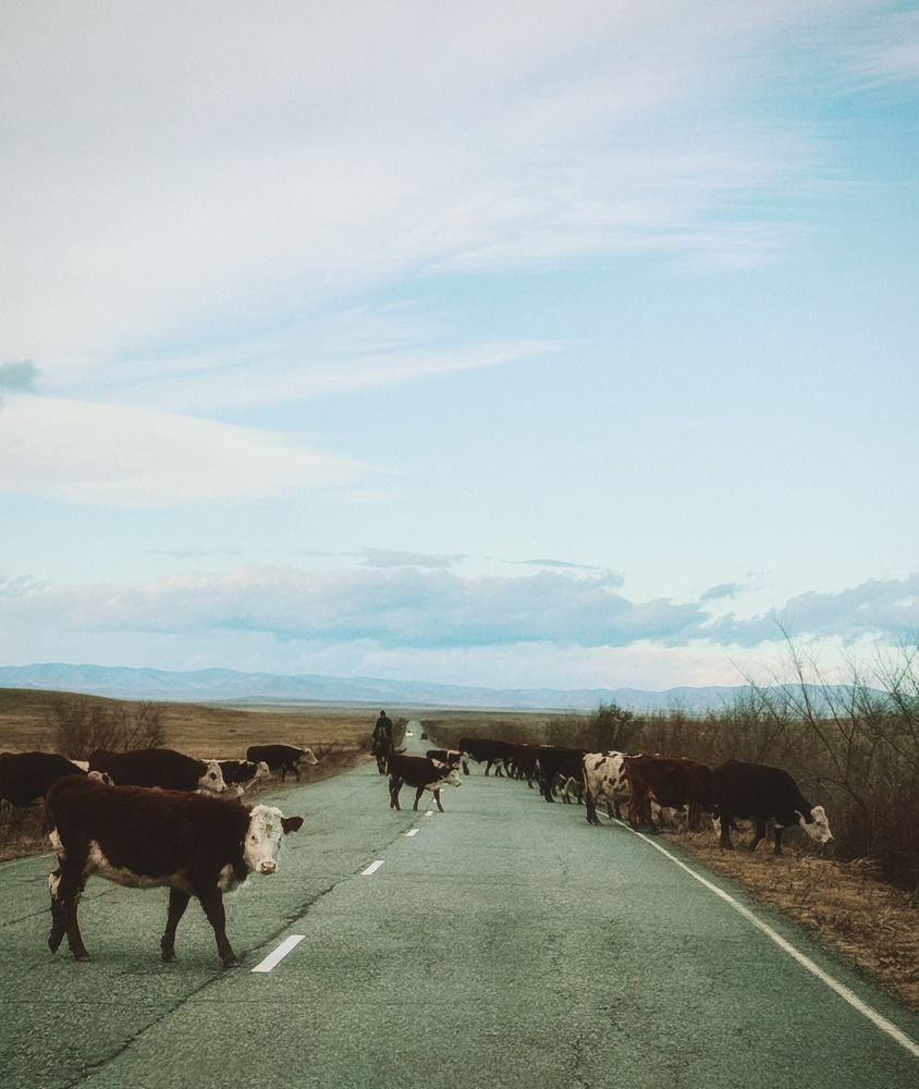 Photograph by Юлия Чернышёва