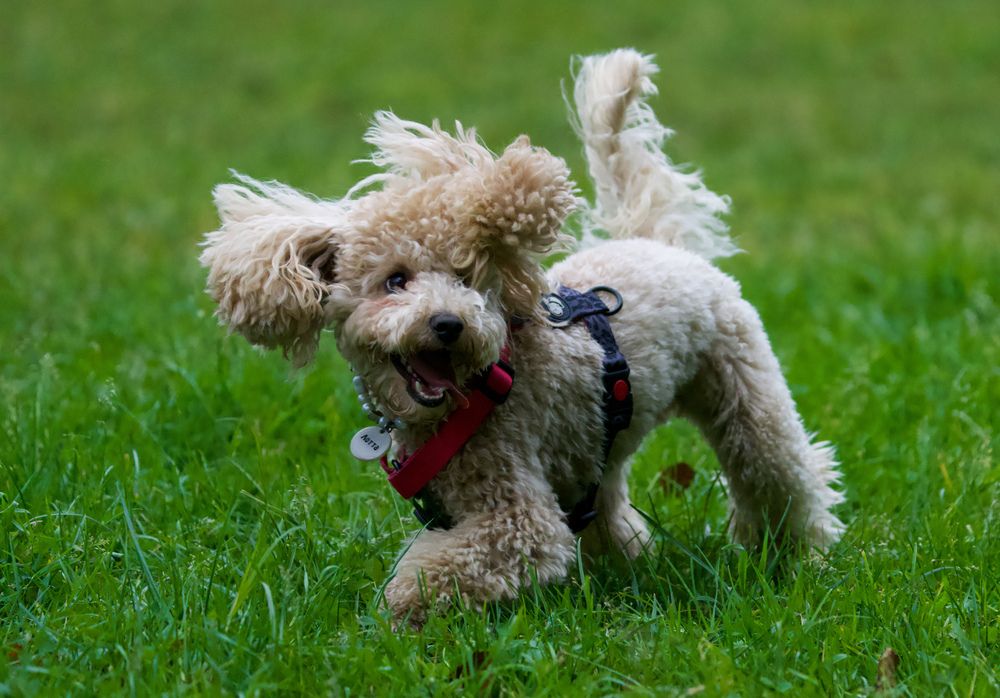 Фотография автора Viktoriya Kim