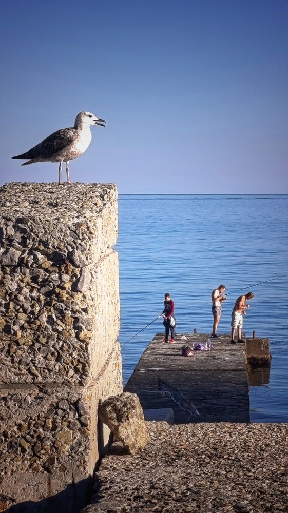 Photograph by мария Жигалова