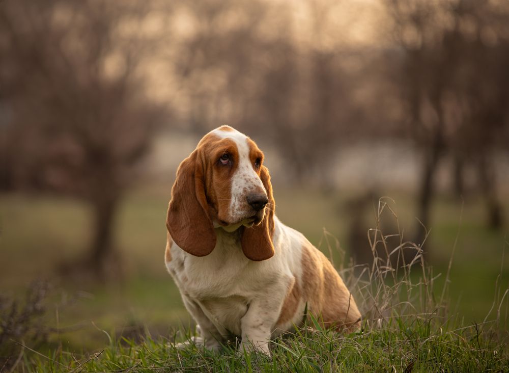 Photograph by Софья Сагитова