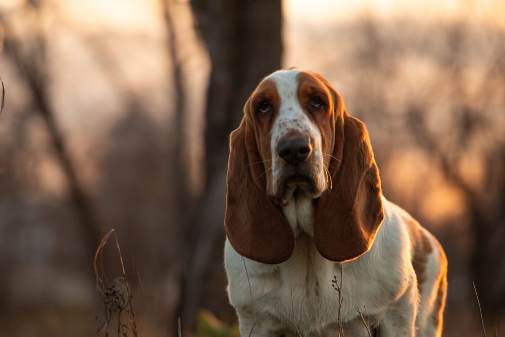 Photograph by Софья Сагитова