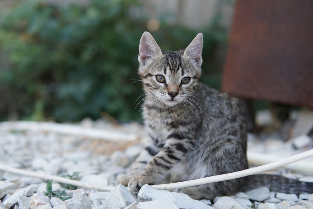 Photograph by Руслан Такушинов