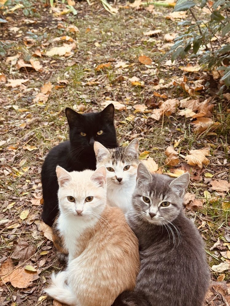 Photograph by Бойкова Наталия