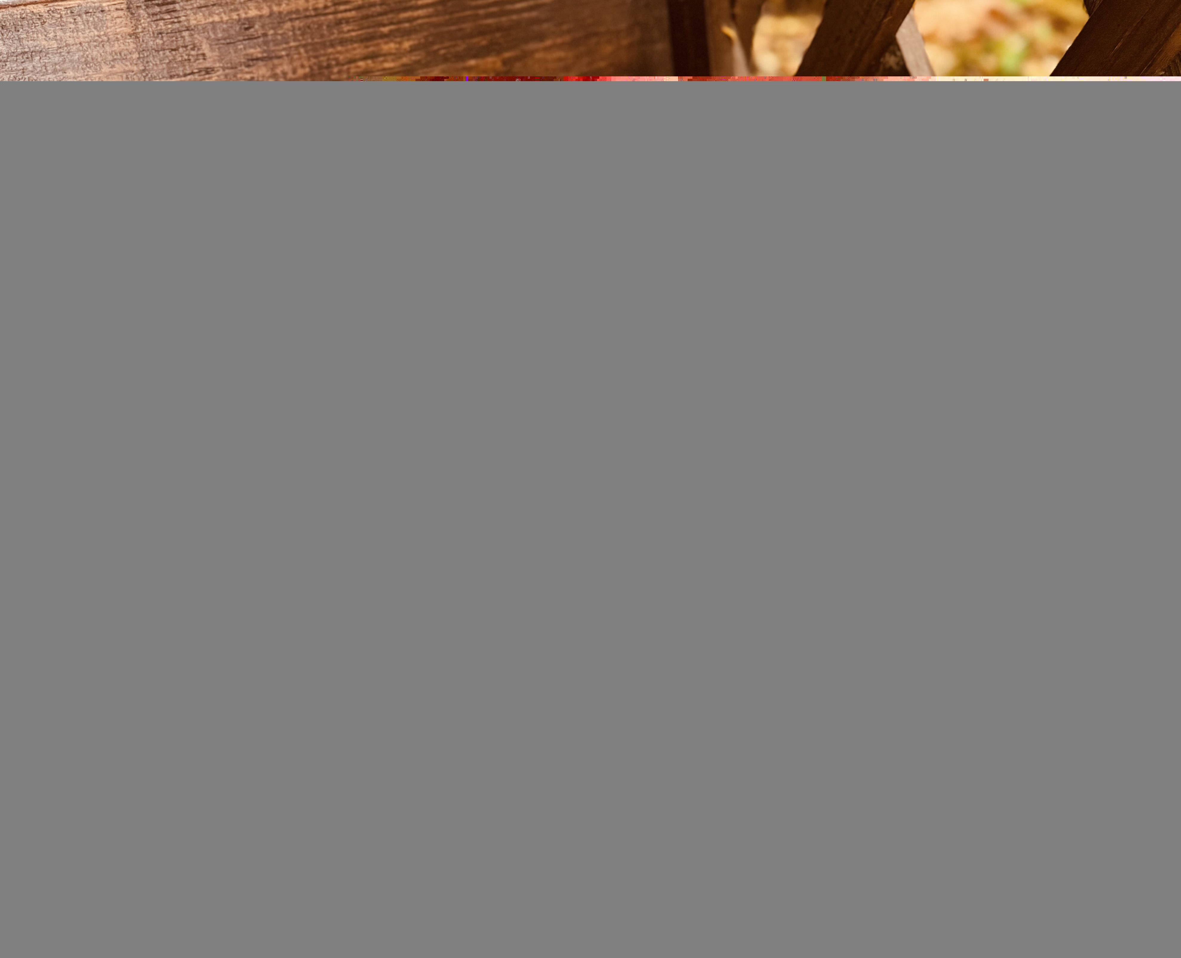 Photograph by Бойкова Наталия