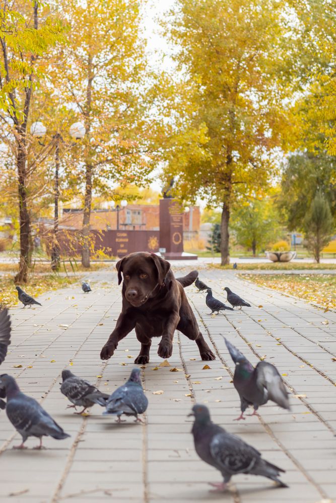 Photograph by Коржова Наталья