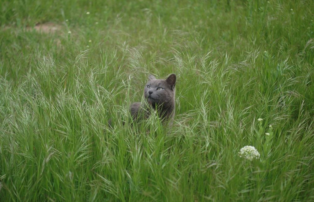 Photograph by Anastasia Brus