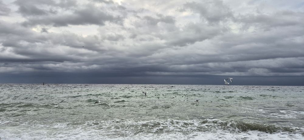 Photograph by Ольга Мусина