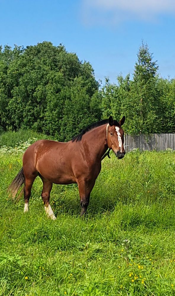 Photograph by Валентина Кузьменко