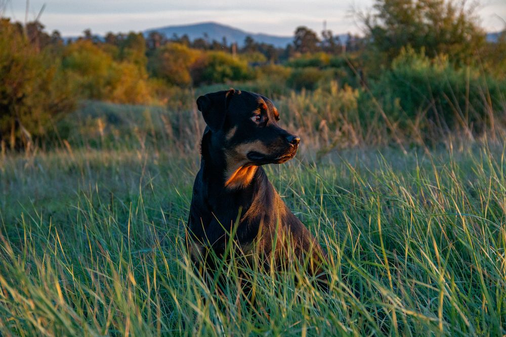 Photograph by Геннадий Лосев
