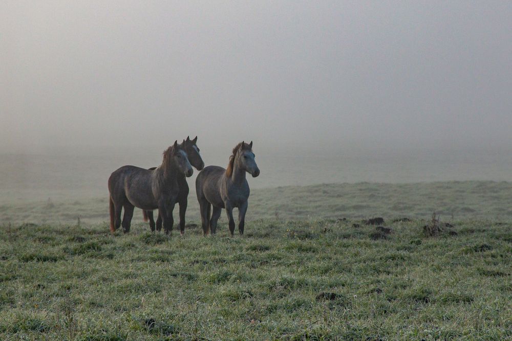Photograph by Геннадий Лосев