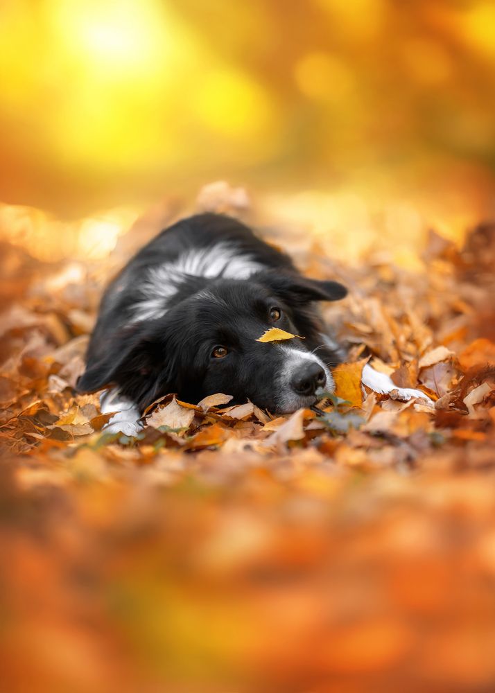 Photograph by Наталья Орел