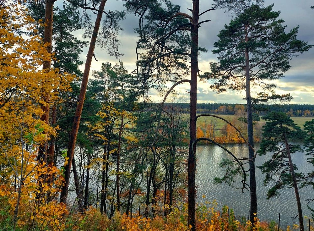 Photo #12791429