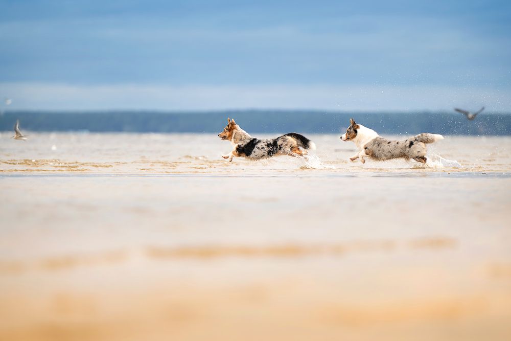 Photograph by Elena Yakuseva