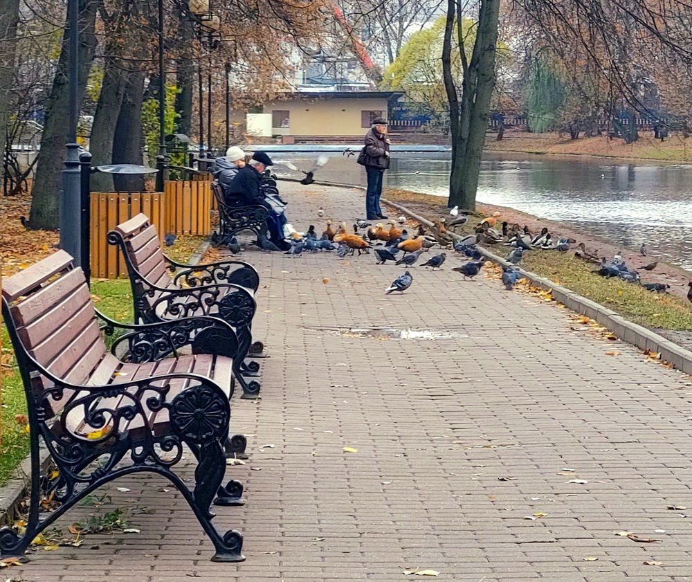 Photograph by Галина Маркова