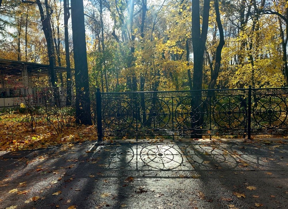 Photograph by Галина Маркова