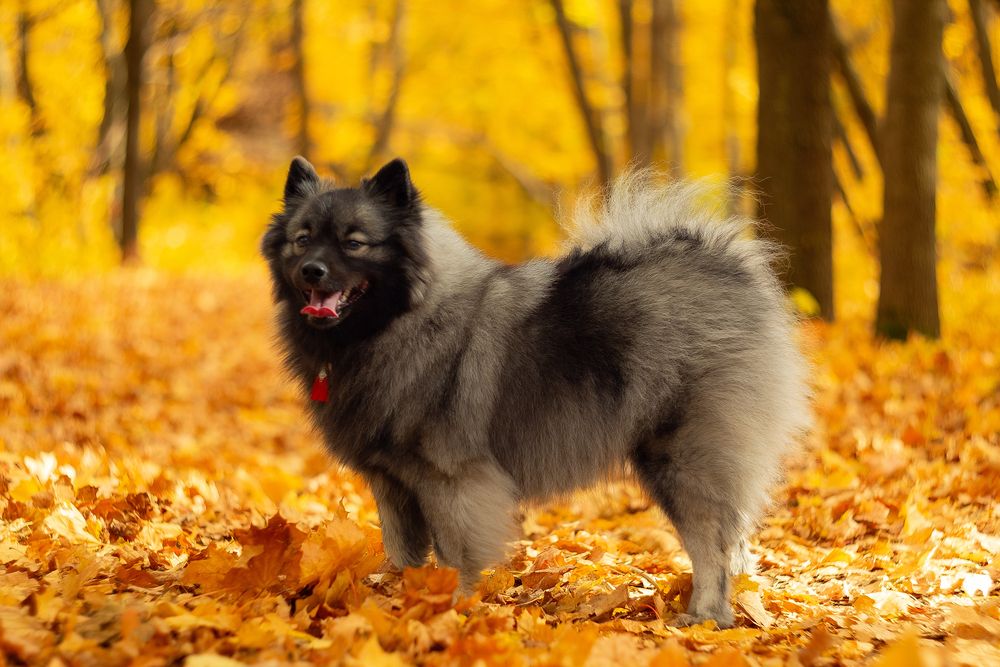 Photograph by Наталья Максимова