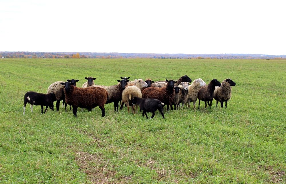 Photograph by Olga Bagaeva