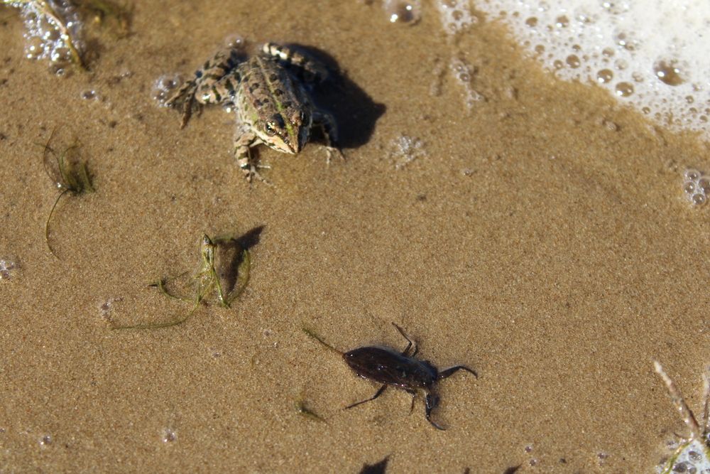 Photograph by Елена Коробченко