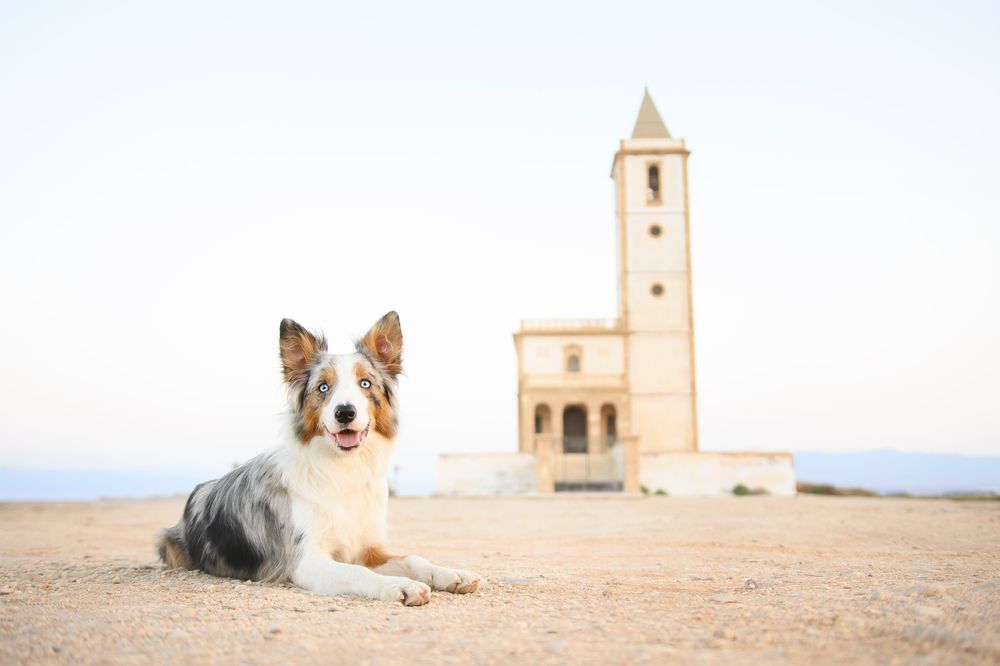 Photograph by Natalia Hidalgo