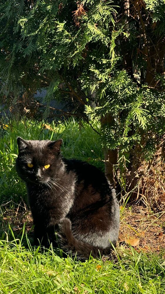 Photograph by Белла