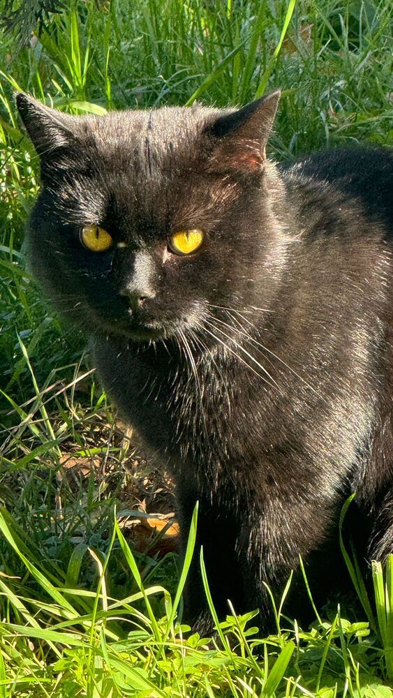 Photograph by Белла