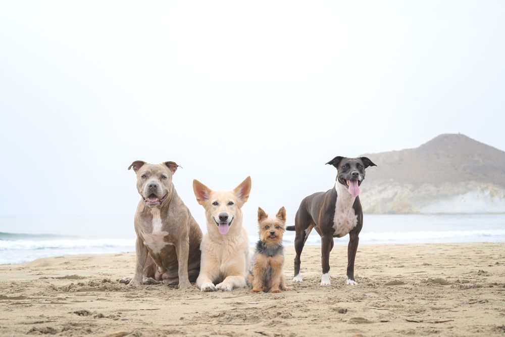 Photograph by Natalia Hidalgo