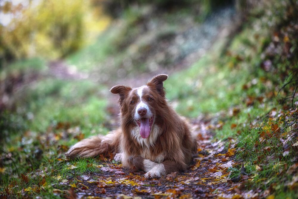 Photograph by Guy Krier