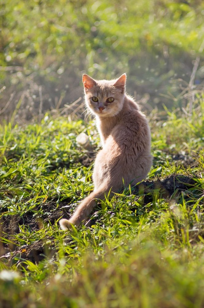 Photograph by Анастасия