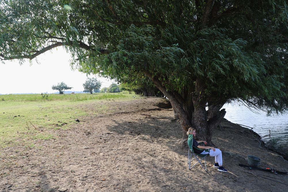 Фотография автора Татьяна Салиева