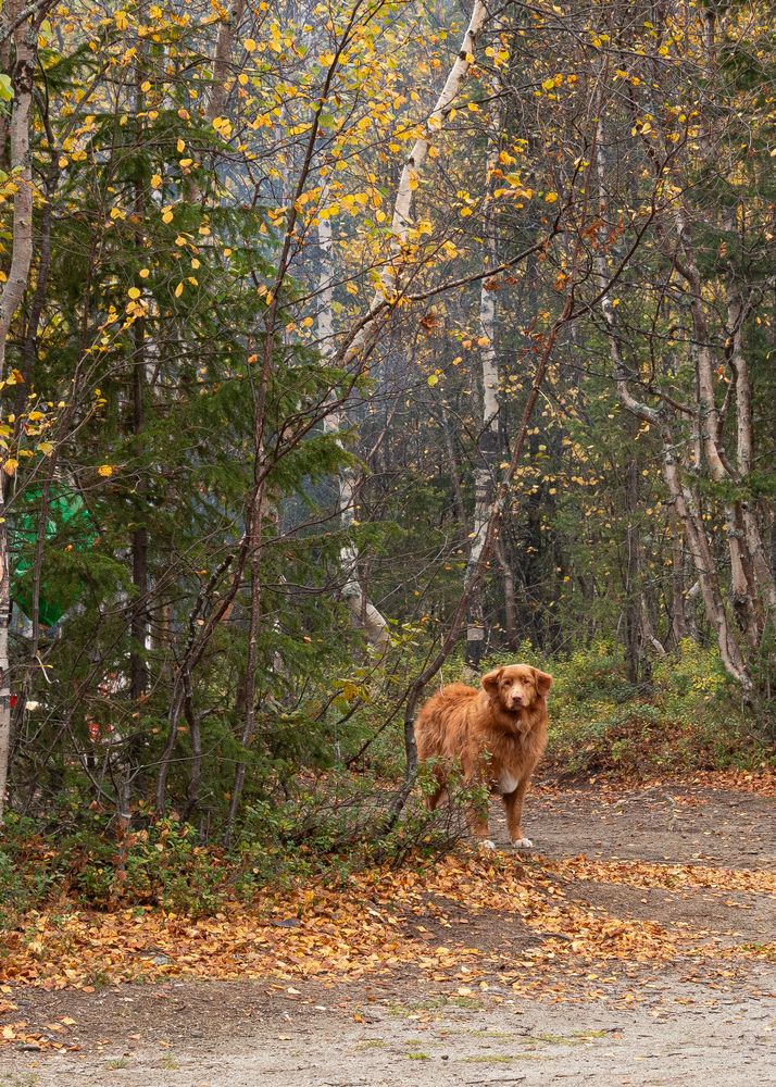 Photograph by Шейко Анна