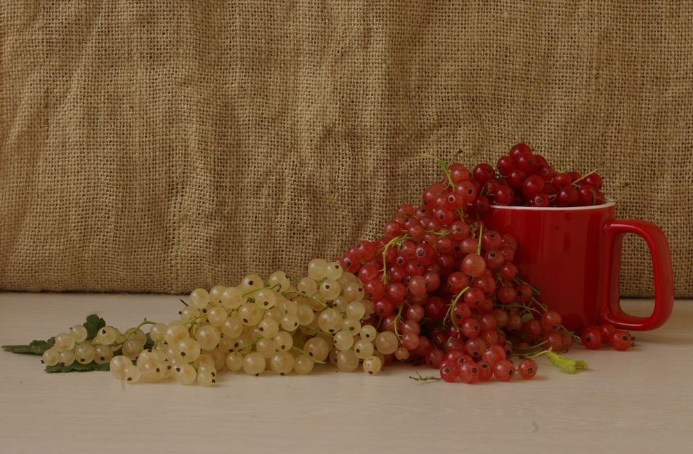 Photograph by Елена Алешкевич