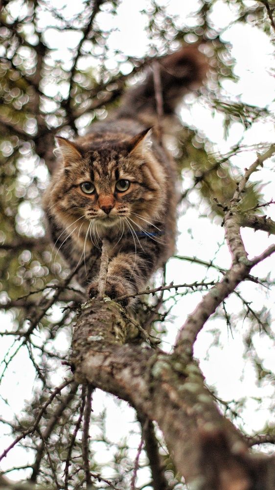 Photograph by Марина Тувышева-Чукавина