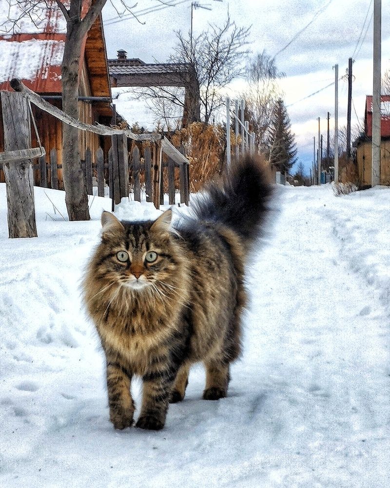 Photograph by Марина Тувышева-Чукавина