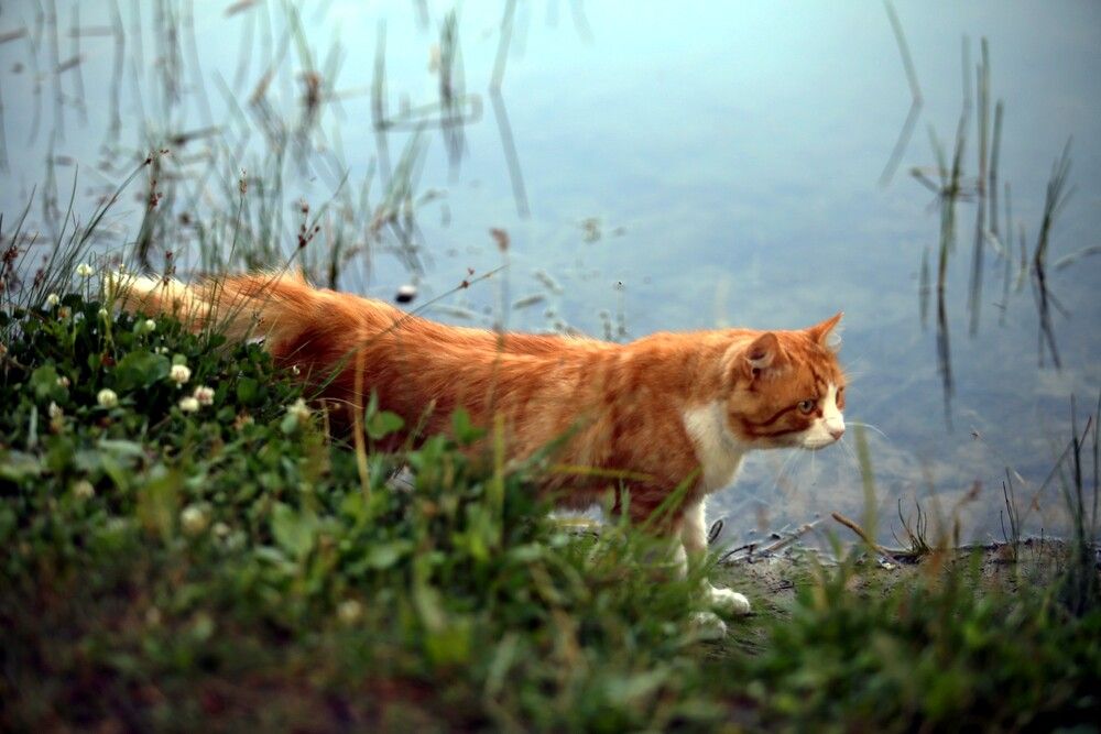 Photograph by Анна Шаповалова